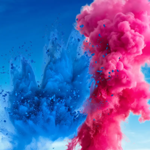Pack GENDER REVEAL 2 Canons à poudre colorée jet de 8m | Location SONO77 Marne-la-Vallée