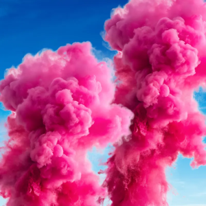 Pack GENDER REVEAL ROSE 4 Canons à poudre colorée jet de 8m | Location SONO77 Marne-la-Vallée